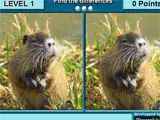 Find the differences pets - Juegos de vestir princesas
